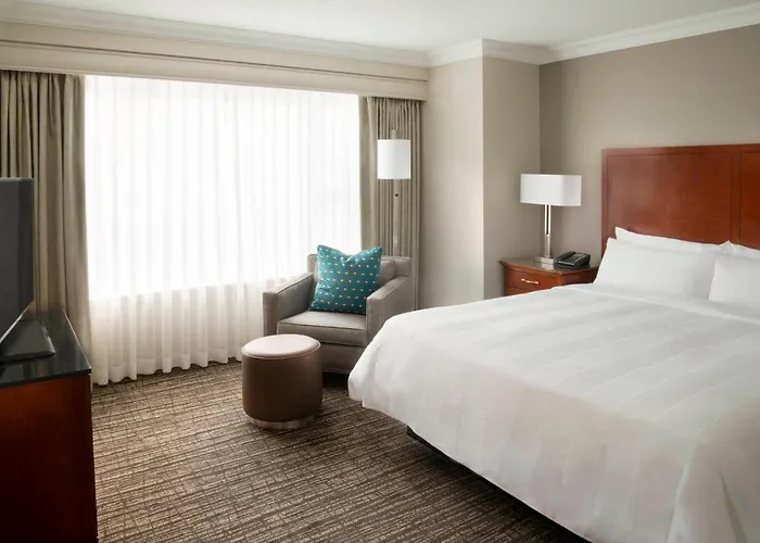 Executive One-Bedroom King Suite