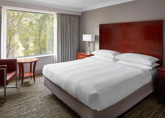 Deluxe One-Bedroom King Suite