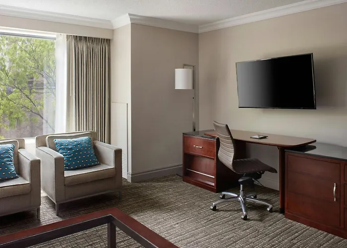 Deluxe One-Bedroom King Suite