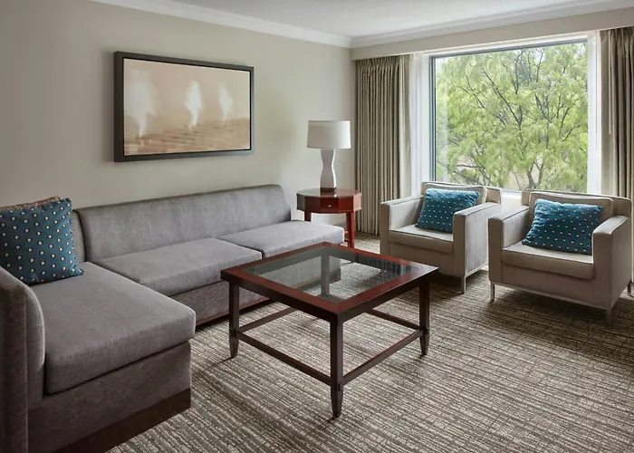 Deluxe One-Bedroom King Suite